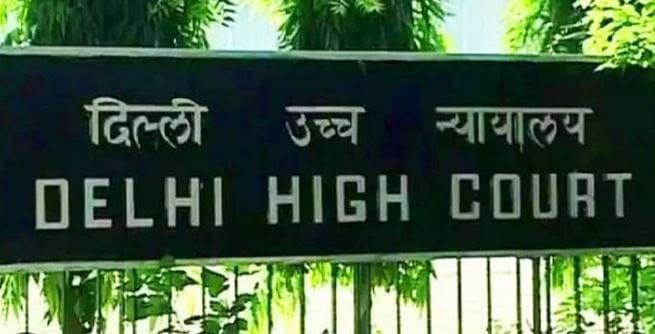 Delhi HC Seeks Response from Centre, AAI Over Rising Bird Strikes at IGI Airport